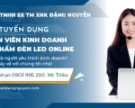 TUYỂN NHÂN VIÊN KINH DOANH SẢN PHẨM ĐÈN LED ONLINE - ĐẶNG NGUYỄN