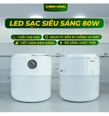 Bóng đèn sạc tích điện công suất lớn - 80W