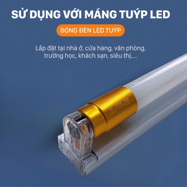 Bộ Tuýp Led thủy tinh T8 1m2 | BO32W