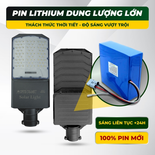 Đèn đường năng lượng Đặng Nguyễn | DS4300