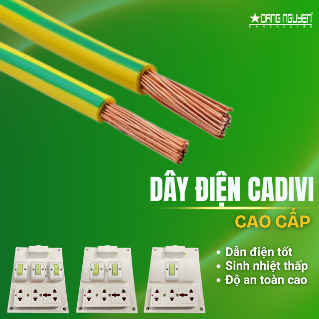 TAPLO ĐẶNG NGUYỄN