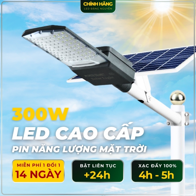 Đèn đường năng lượng Đặng Nguyễn | DS4300
