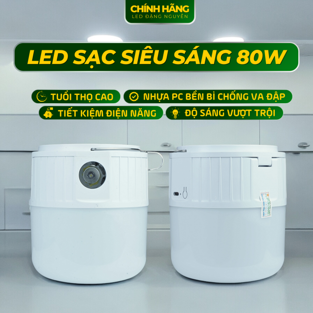 Bóng đèn sạc tích điện công suất lớn - 80W